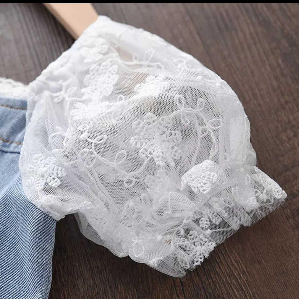 Denim Button Up Dress with Lace Sleeves